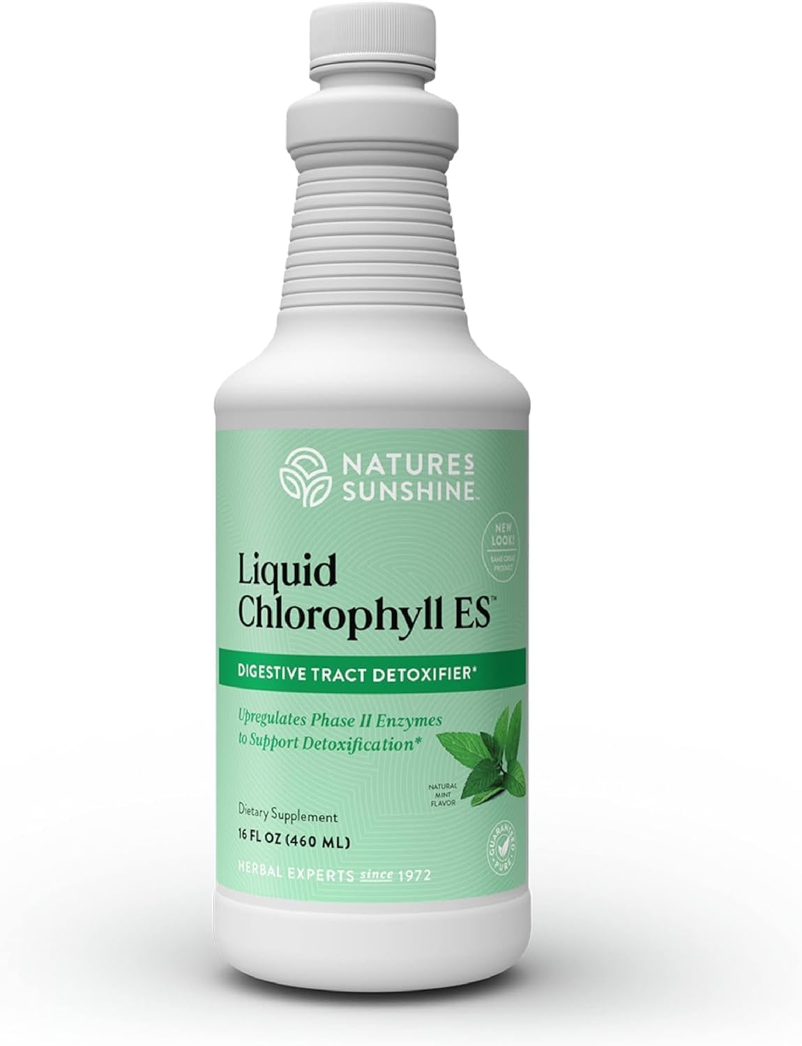 Nature's Sunshine Liquid Chlorophyll - Immunity Support, Detox & Cleanse, Chlorophyll Liquid Drops with Spearmint Oil, Natural Energy Boost, Internal Deodorant - 16 Fl Oz