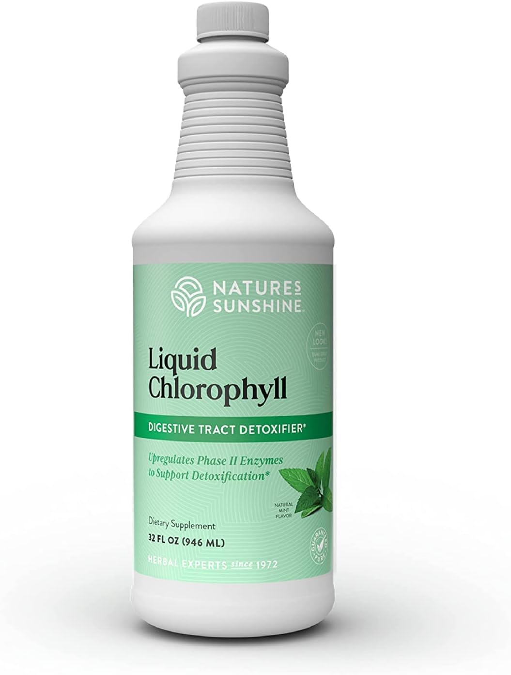 Nature's Sunshine Liquid Chlorophyll - Immunity Support, Detox & Cleanse, Chlorophyll Liquid Drops with Spearmint Oil, Natural Energy Boost, Internal Deodorant - 16 Fl Oz