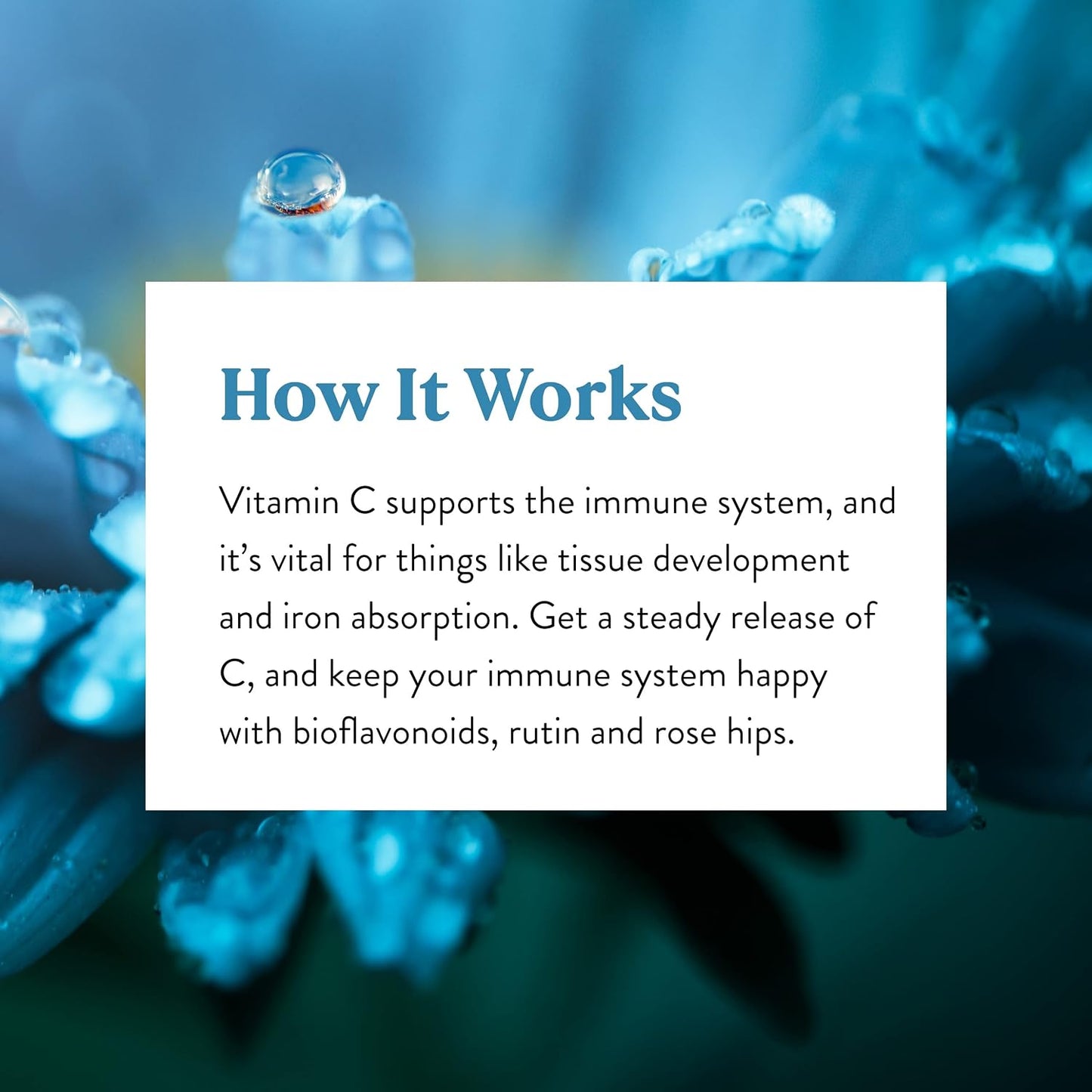 Natures Sunshine Vitamin C Time Release, 1000 mg, 120 Tablets | Supports the Immune System and Quench Dangerous Free Radicals