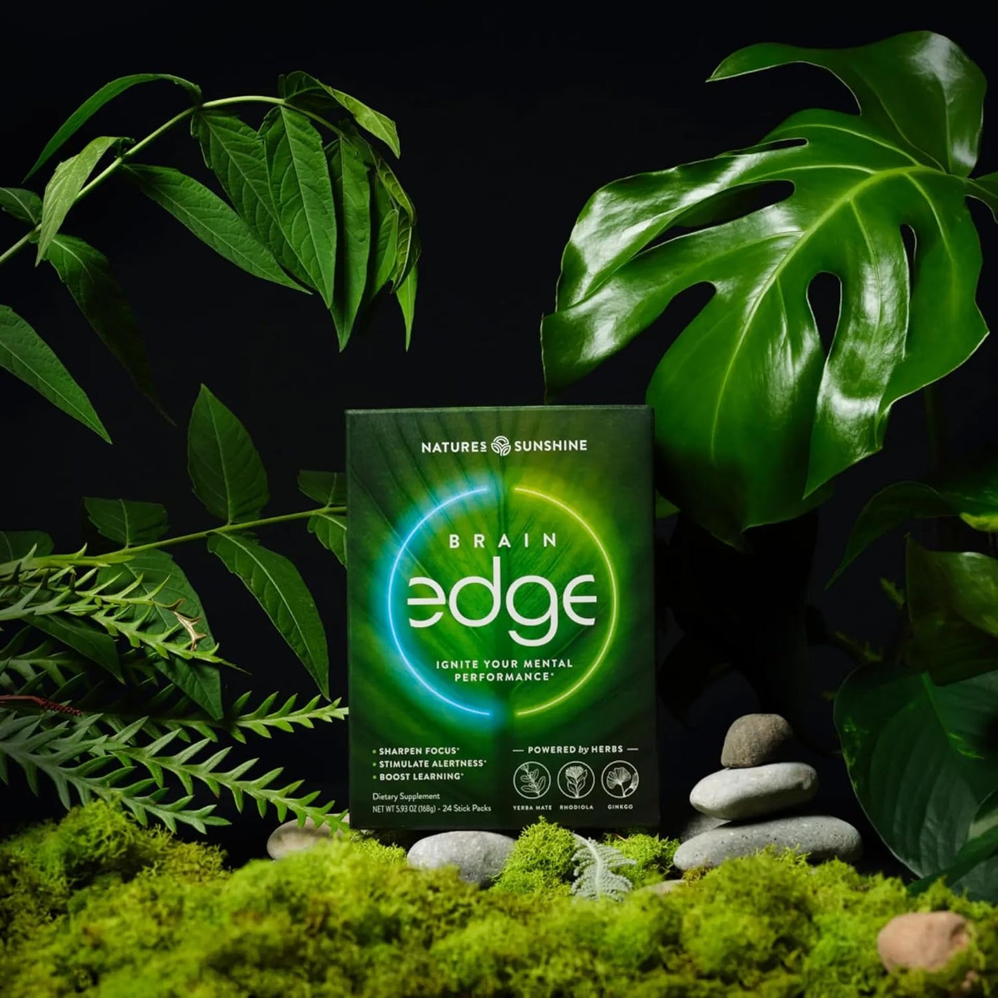Nature's Sunshine Brain Edge – Mental Clarity, Focus & Energy Drink Mix, Nootropic Herb Blend with Yerba Mate, Ginkgo & Rhodiola, 24 Stick Packs