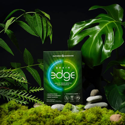 Nature's Sunshine Brain Edge – Mental Clarity, Focus & Energy Drink Mix, Nootropic Herb Blend with Yerba Mate, Ginkgo & Rhodiola, 24 Stick Packs